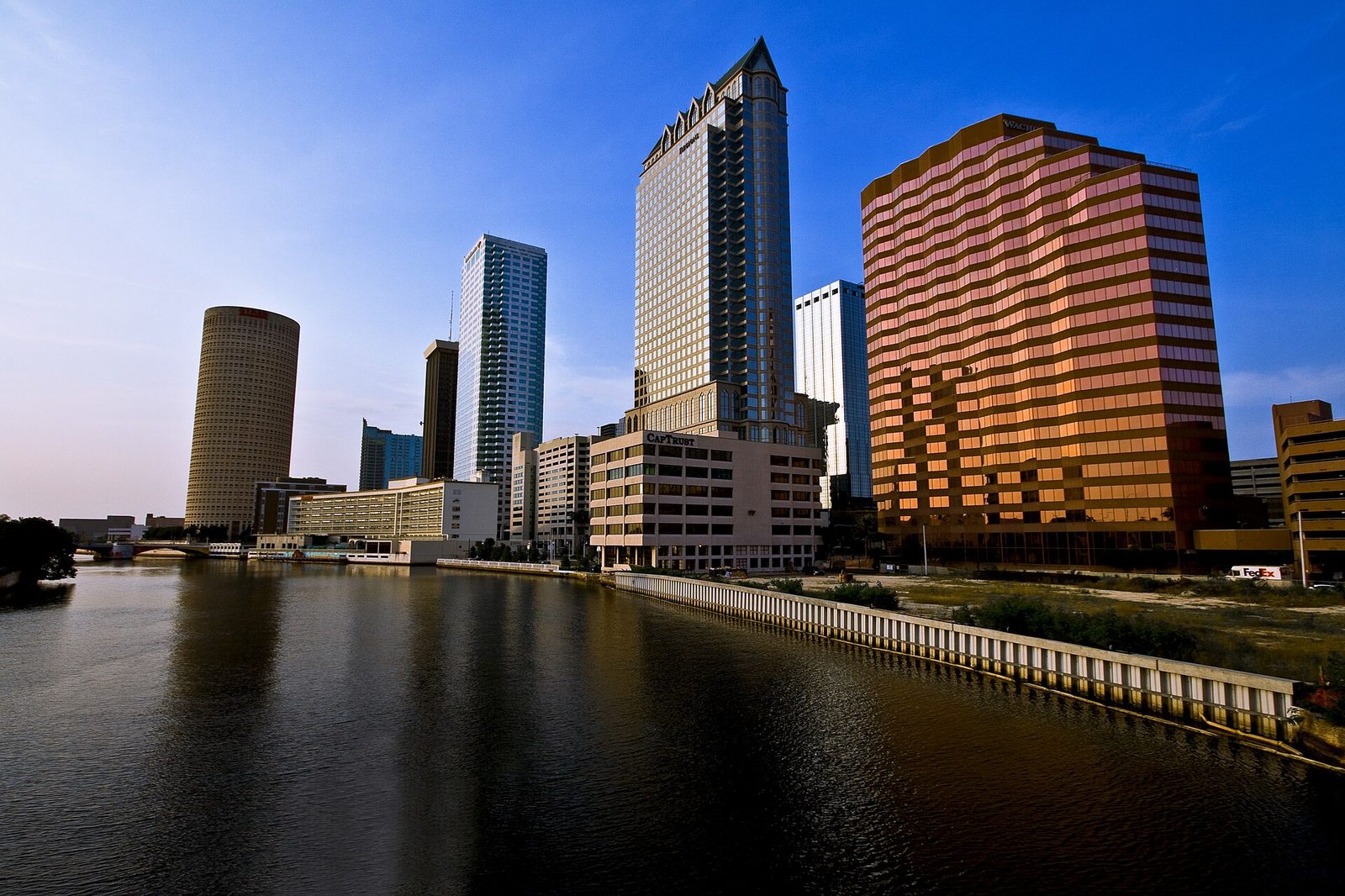 Tampa skyline and atmosphere — independent mold inspector directory